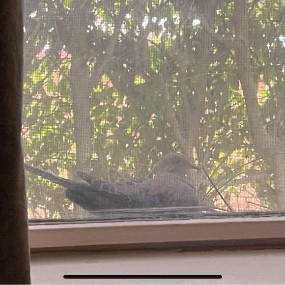 Meet your Posher, Samantha - Picture 3 of 3